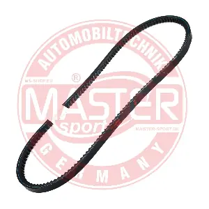 AVX-13X990-PCS-MS MASTER-SPORT GERMANY