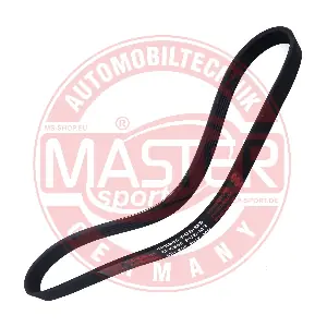 MASTER-SPORT GERMANY 6PK895-PCS-MS