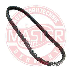 AVX-11.9X650-PCS-MS MASTER-SPORT GERMANY