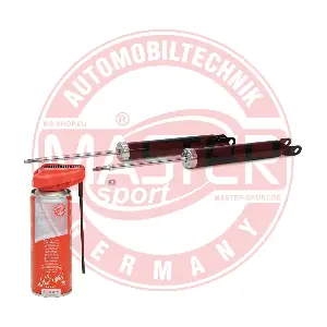 16K006252P MASTER-SPORT GERMANY