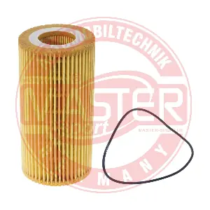 MASTER-SPORT GERMANY 719/8X-OF-PCS-MS