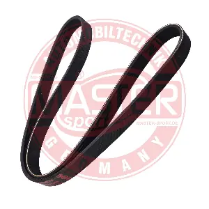 6PK1060-PCS-MS MASTER-SPORT GERMANY