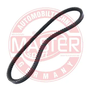 MASTER-SPORT GERMANY AVX-10X666-PCS-MS