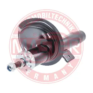 170165-PCS-MS MASTER-SPORT GERMANY