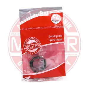 600350201 MASTER-SPORT GERMANY