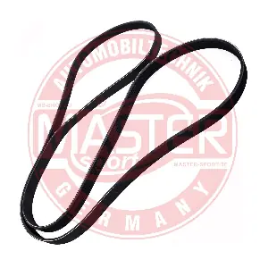 6PK2166-PCS-MS MASTER-SPORT GERMANY