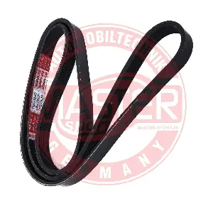 6PK1380-PCS-MS MASTER-SPORT GERMANY