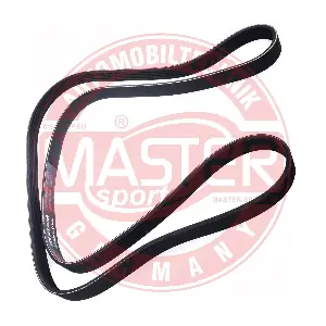 MASTER-SPORT GERMANY 6PK1873-PCS-MS