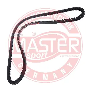 AVX-10X1025-PR-PCS-MS MASTER-SPORT GERMANY