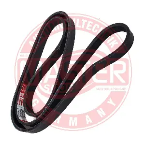 6PK1565-PCS-MS MASTER-SPORT GERMANY