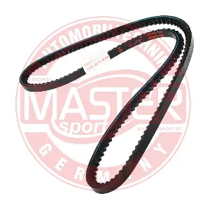 AVX-10X1010-PCS-MS MASTER-SPORT GERMANY