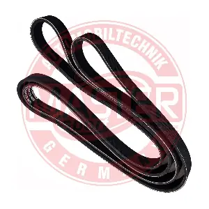 6PK2115-PCS-MS MASTER-SPORT GERMANY
