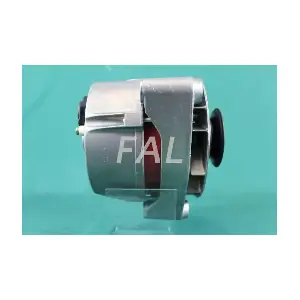 F002698/2 FAL Anlasser- und Li