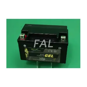 FAL Anlasser- und Li F005695/1
