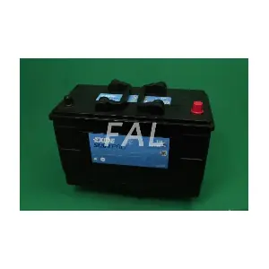 FAL Anlasser- und Li F016899/1