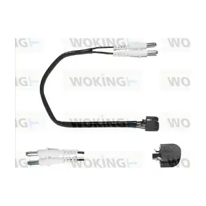 WOKING 001008