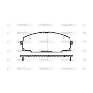 WOKING P5213.20