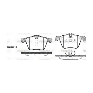WOKING P13173.00