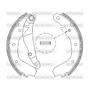 WOKING Z4091.00