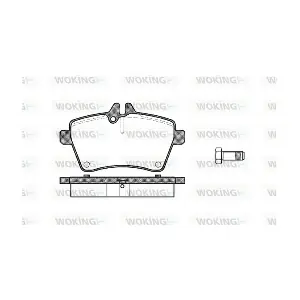 WOKING P1044300