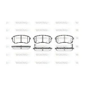 WOKING P1035302