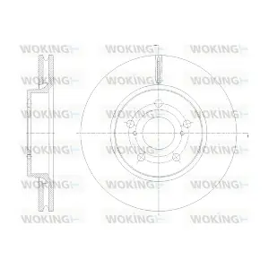 WOKING D62134.10