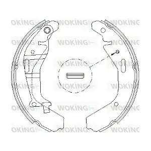 Z4202.00 WOKING
