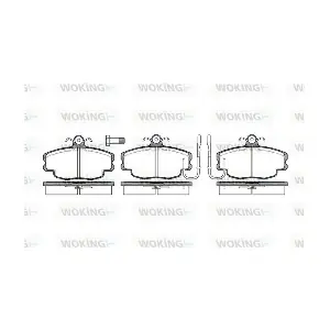 WOKING P041312