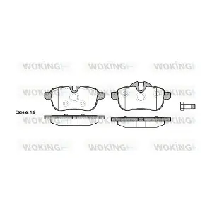 P15173.00 WOKING