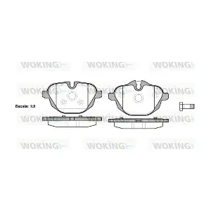 WOKING P1521300