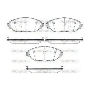 WOKING P1570300