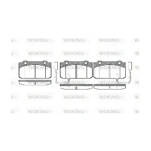 WOKING P310312