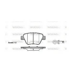 WOKING P1520300