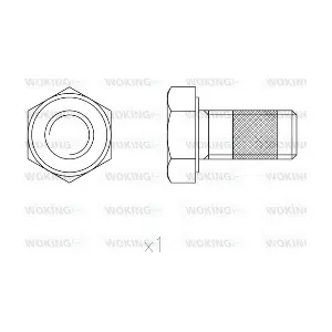 852100 WOKING
