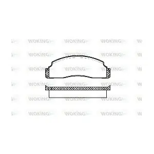 WOKING P1913.00