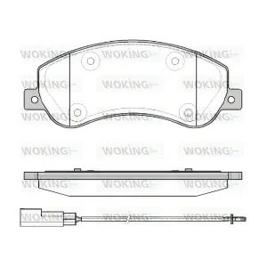 WOKING P1350311