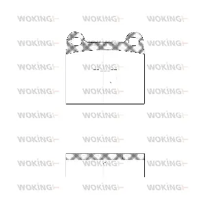 P117320 WOKING
