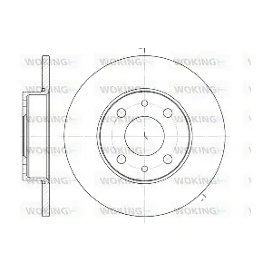 WOKING D6110.01