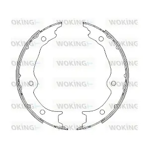 WOKING Z4601.00