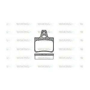 WOKING P211300