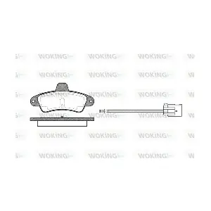 WOKING P5333.02