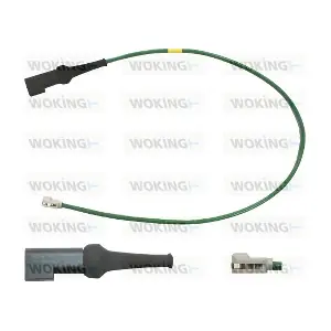WOKING 001140