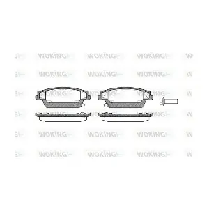 WOKING P1187304