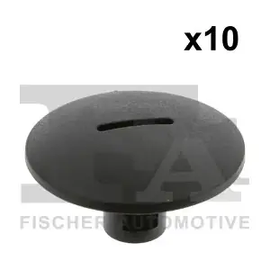 21-10006.10 FA1
