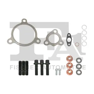 KT110125 FA1