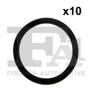 FA1 244.855.010
