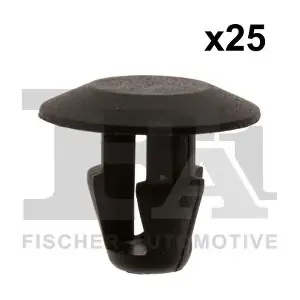 33-10009.25 FA1