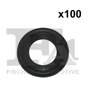 FA1 244851100