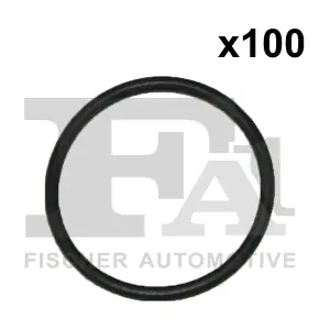 FA1 076408100