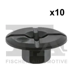 10-10006.10 FA1